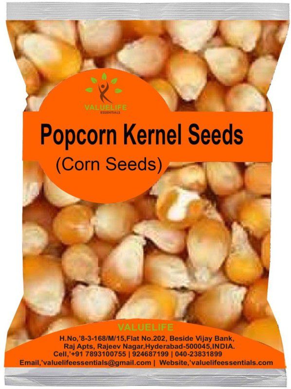 Value Life Popcorn Kernels Seeds NA Popcorn  (490 g)