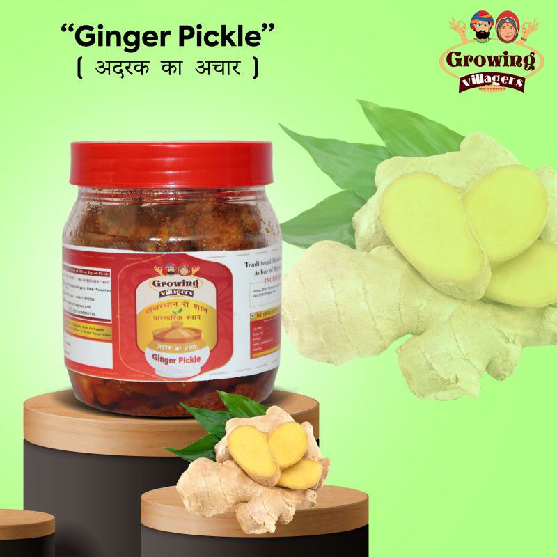 Growing Villagers Ginger Pickle HomeMade Marwadi Adrak Ka Achar With Less Oil Ginger Pickle  (500 g)