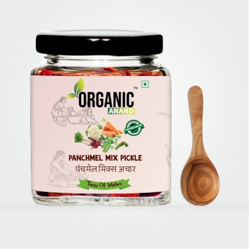 Organic Anand Panchmel Pickle ( Beetroot, Gajar, Gobhi, Mooli, Matar Mix Achaar ) Mixed Pickle  (250 g)