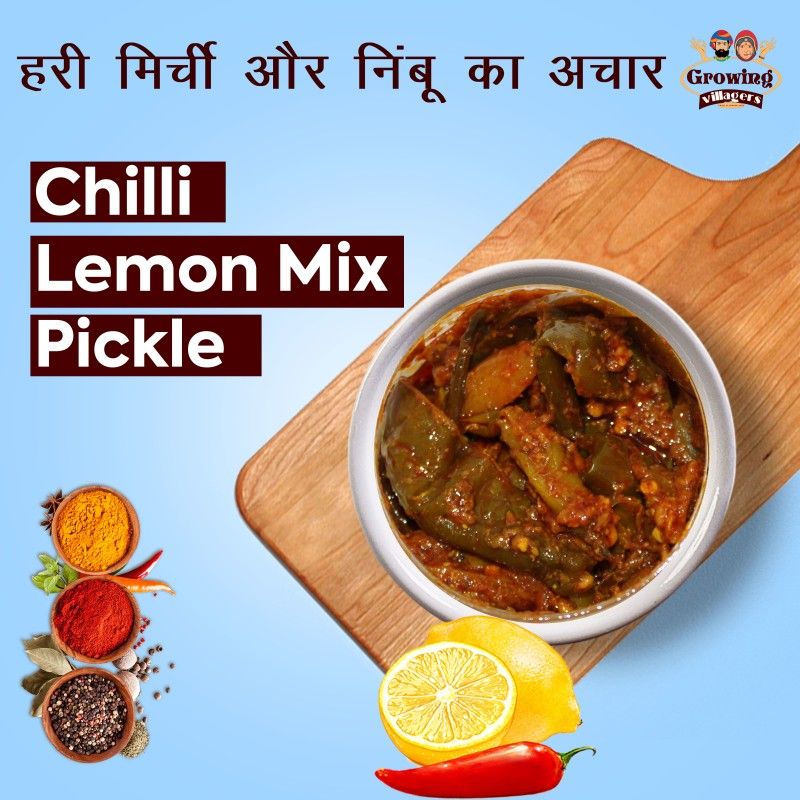 Growing Villagers Nimbu Mirch Ka Achar Home Made Marwadi Chilli - Lemon Mix Pickle Lemon, Green Chilli Pickle  (2 x 500 g)