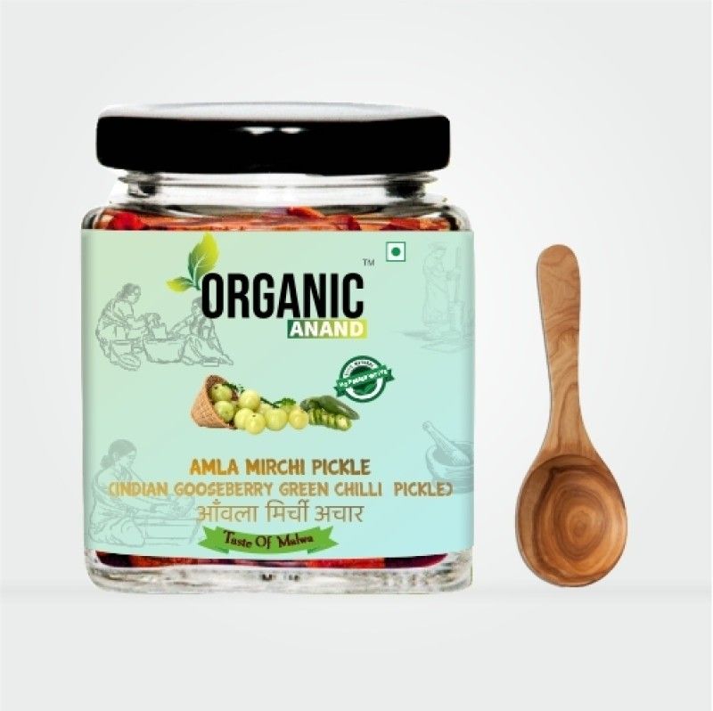 Organic Anand Amla -Mirchi Pickle ( Indian Gooseberry & Green Chilly Pickle ) Mixed Pickle  (250 g)