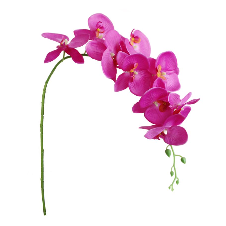 Decorative Flower Touch Decorative Simulation Phalaenopsis Flower Wedding Supplies