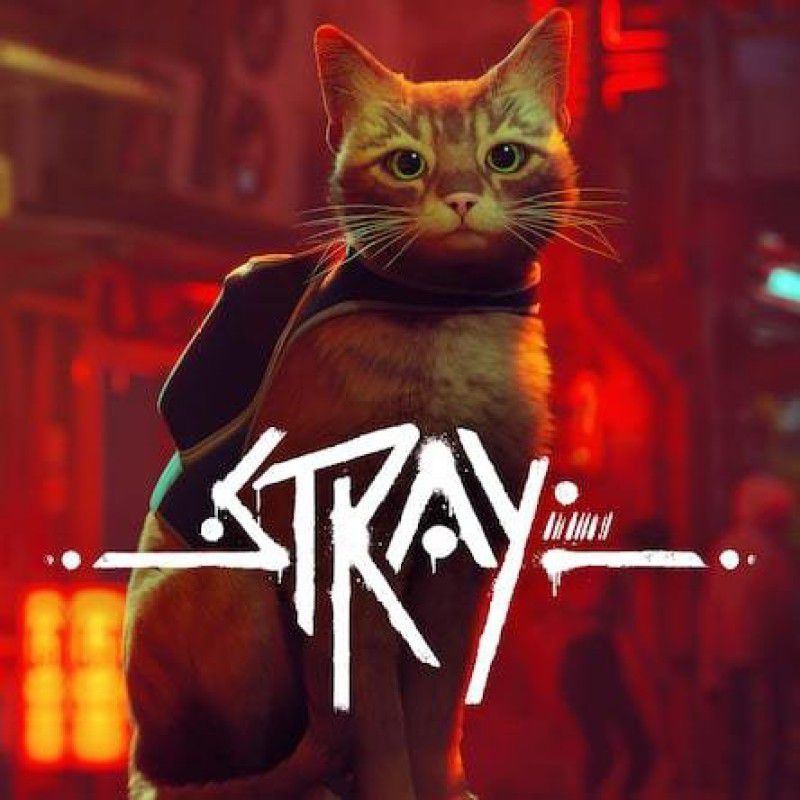 Stray PS4(Read Before Buying)  (Code in the Box - for PS4)