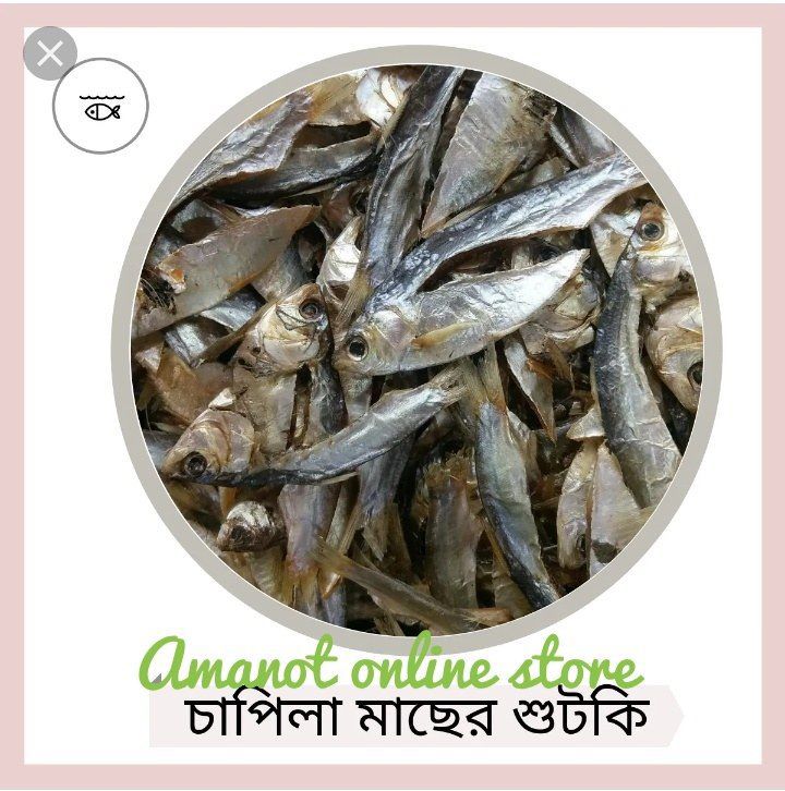 শুঁটকি-Shutki- Chapila Dry Fish -চাপিলা শুটকি-250Gm