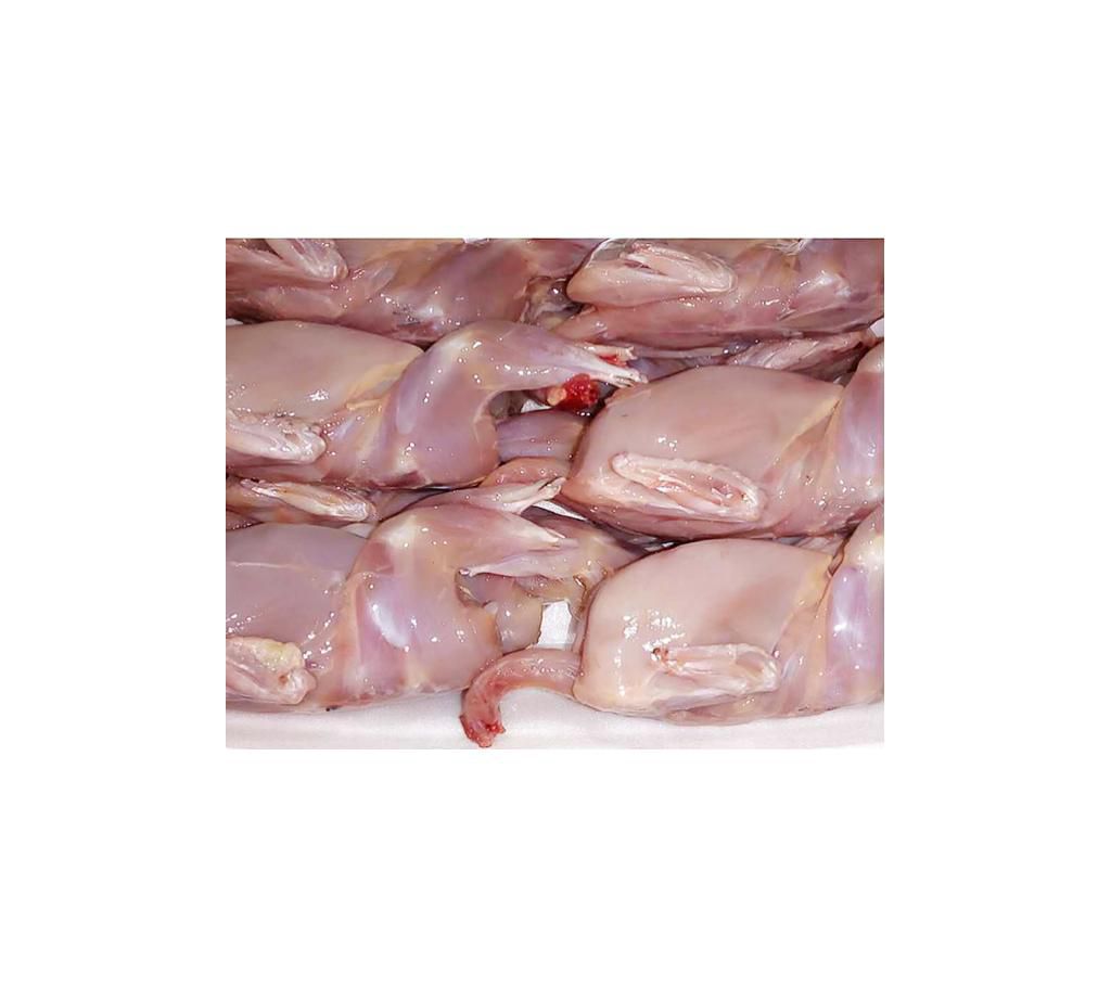 Quail Bird Meat - 10 pc 