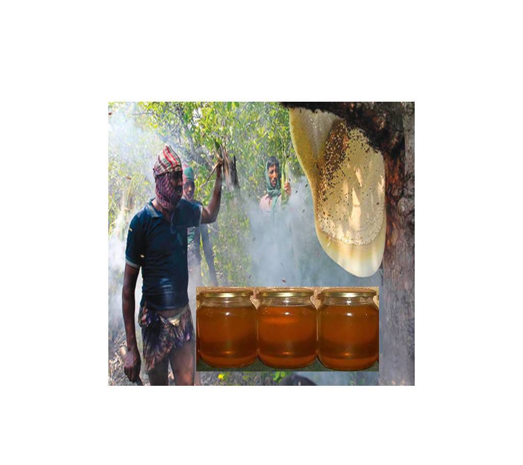 Sundarbans Chak breaking honey 500 grams