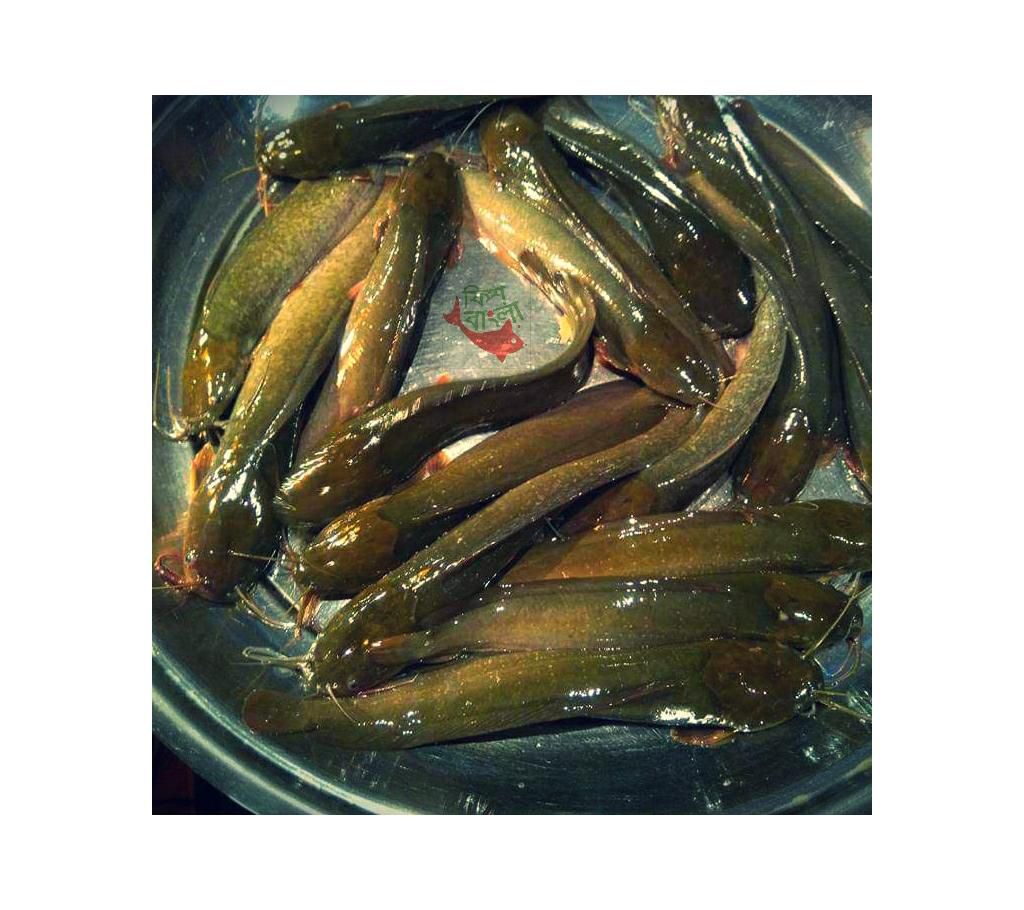 Deshi magur fish 1kg