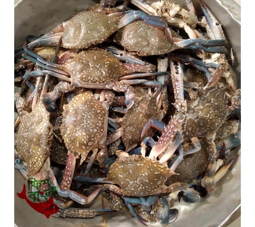 Coxbazar Large sea crab 1kg