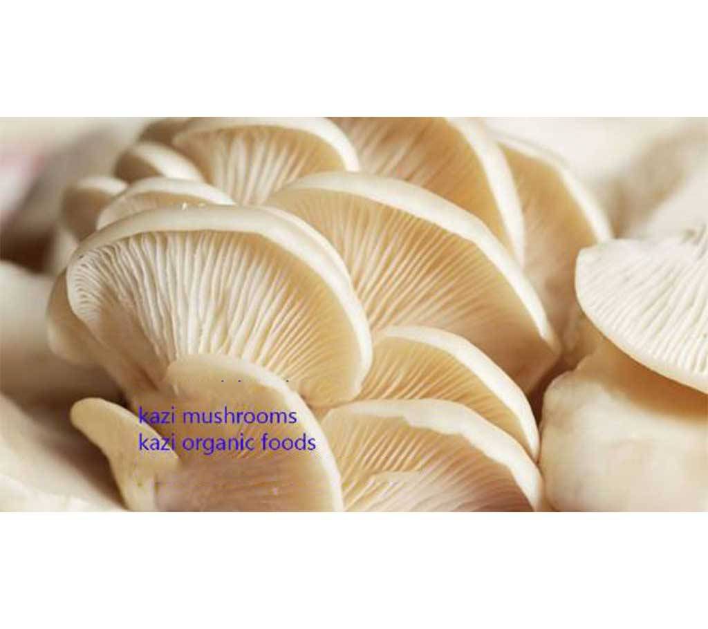 Best Quality Oyster Mushroom