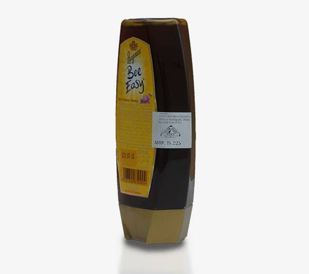 Langnese Wildflower Honey (500gm)