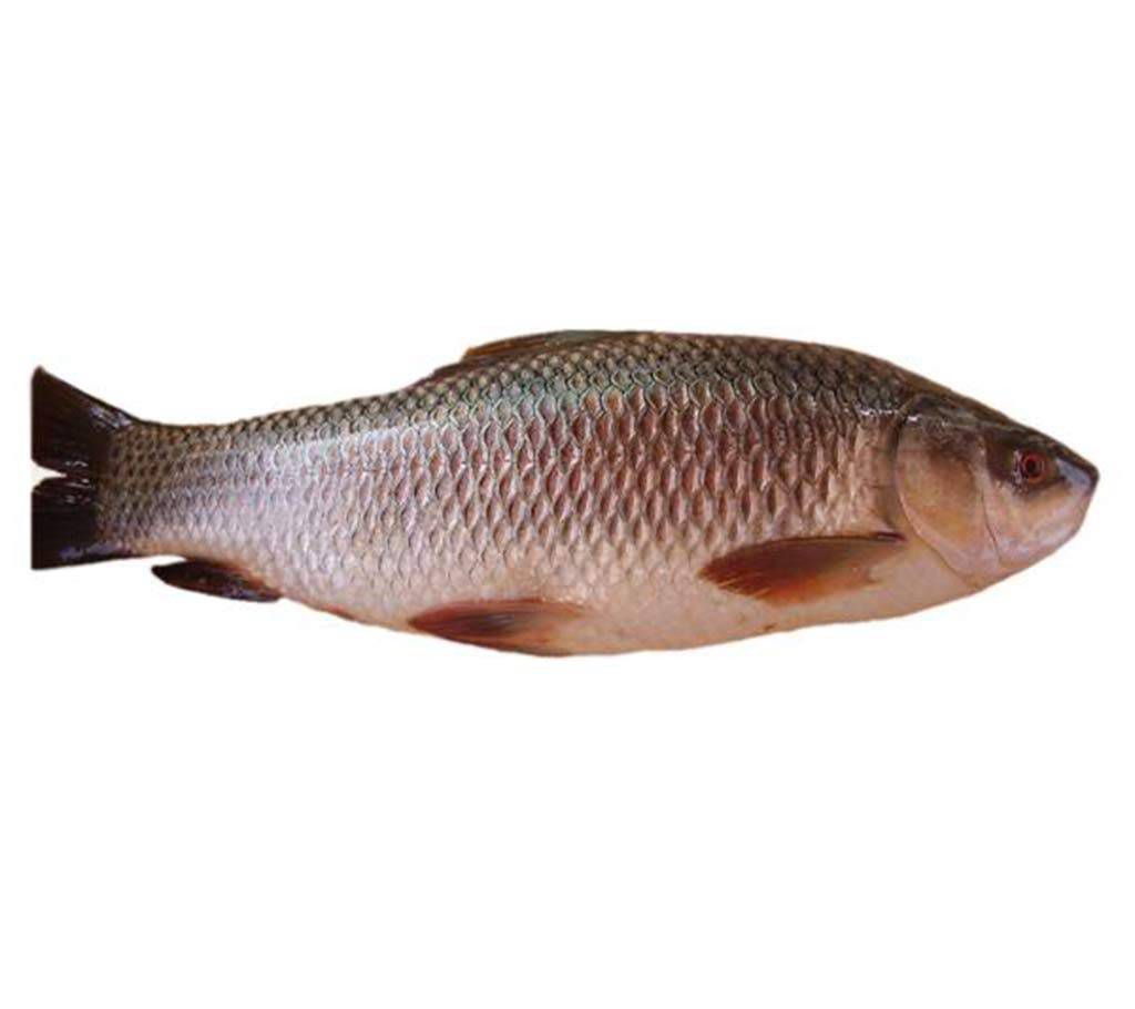 rui fish- 1 kg