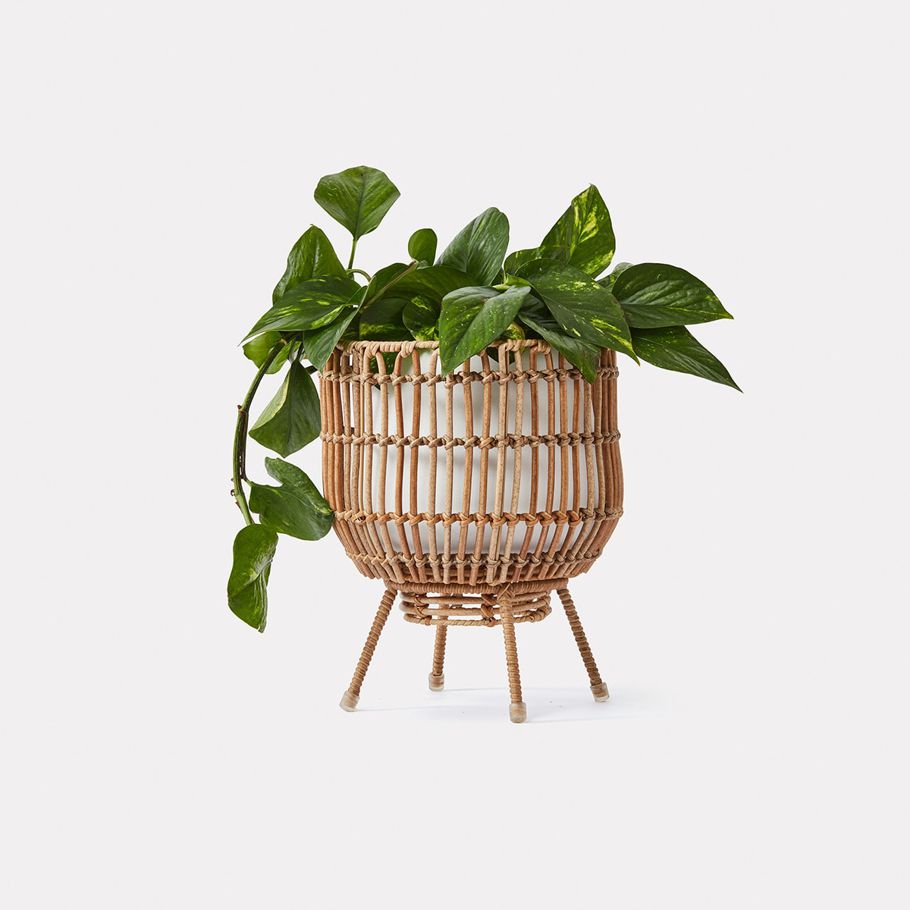 Small Rattan Look Pot Holder with Stand