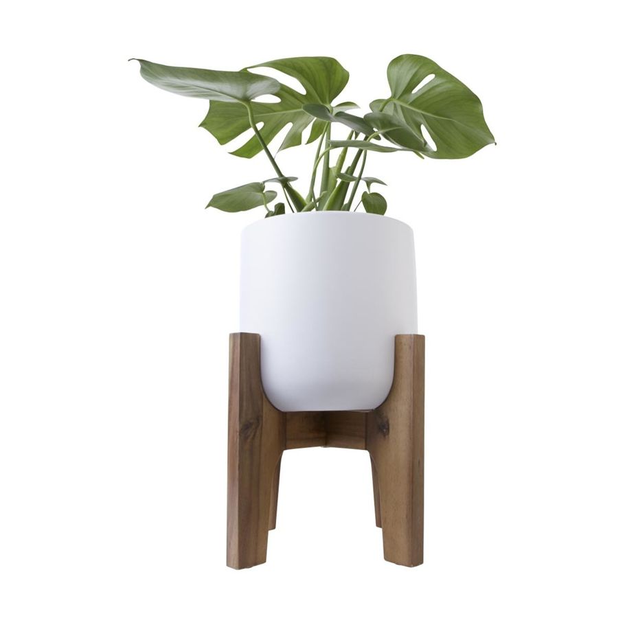 Pot with Acacia Stand