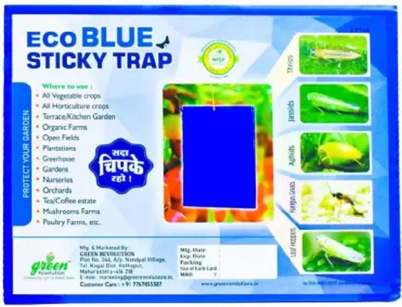 Farmroot Eco Blue Sticky Trap for Thrips, Aphids, Leaf Miner, Fungus Gnat, Jassids  (1 Units)