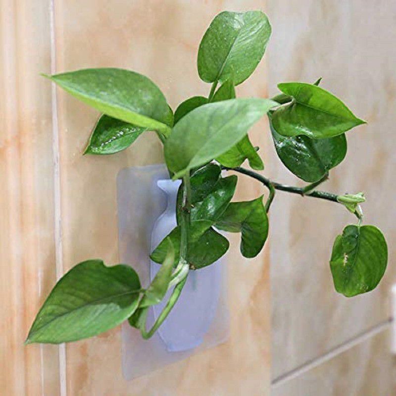Kentoza Wall Hanging Silicone Flower Pot Sticker Plant Rack for Decoration Home Kitchen Office Bathroom Silicone Vase  (10 inch, Clear)
