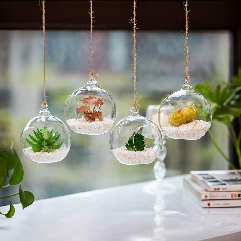 Ionic Glass Hanging Terrarium Globe, Width 4", Height 4", Pack of 4 Glass Vase  (4 inch, Clear)