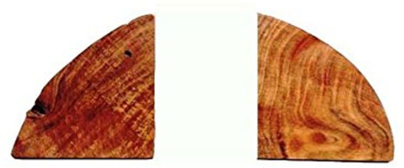 Online Art Effects Re-Cycle Saal Wood (Shorea Robusta) Table Top Antique Wood Book End  (Brown, Pack of 2)