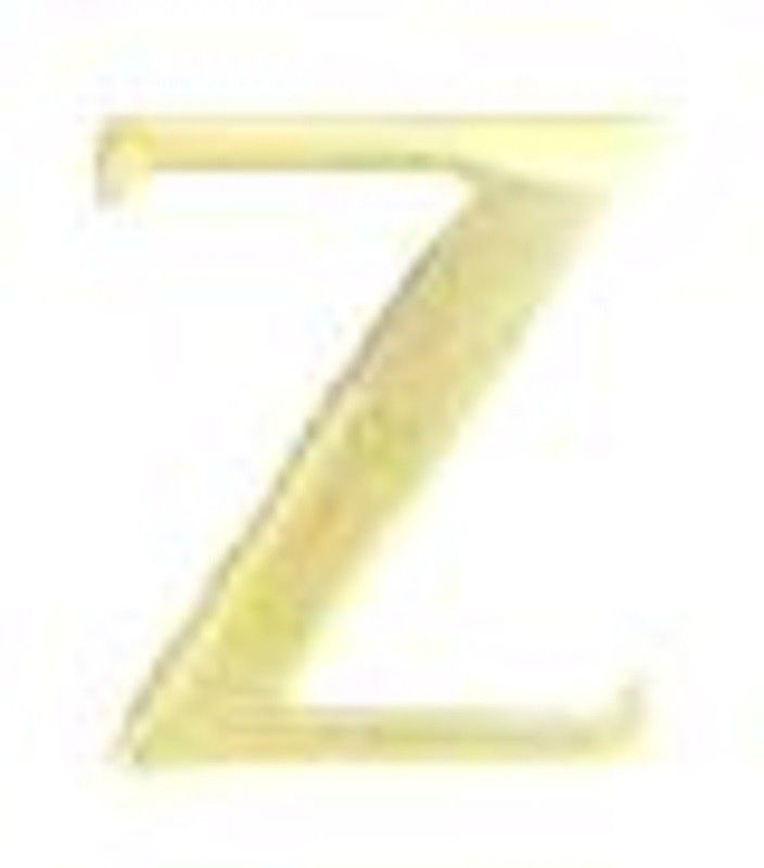 Robin Export Company Home Decor Alphabet 'Z' Brass Letter Door House Address Sign  (1)
