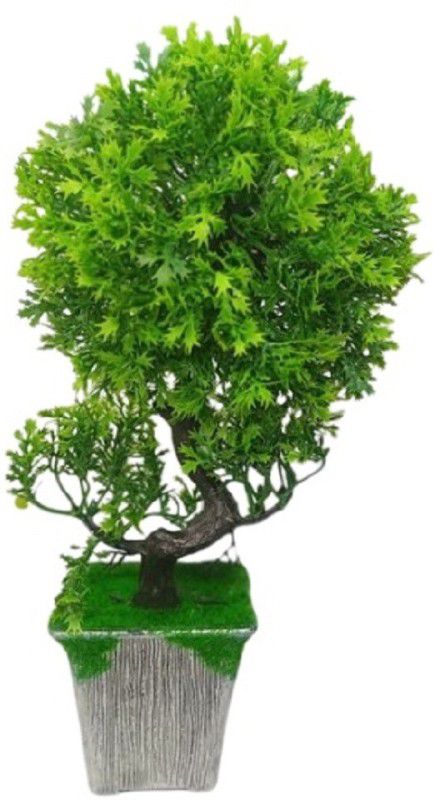 WhiteAsh Bonsai Wild Artificial Plant with Pot  (25.5 cm, Green)