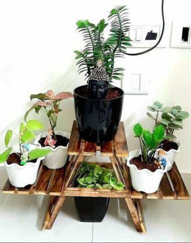 HabibaArtGallery Wooden Pot Stand Foldable Rack Shelve / Home Decore Bonsai Wild Artificial Plant  (30 cm, Brown)