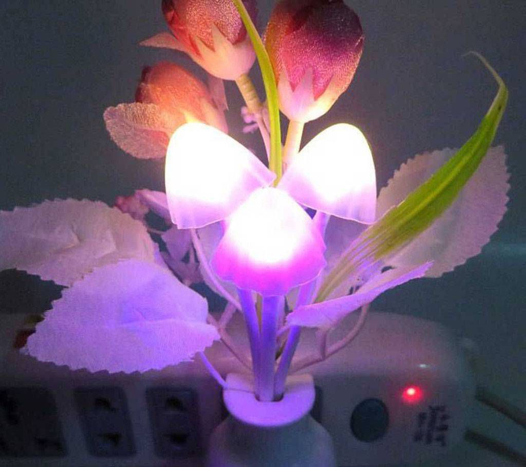 Avatar Magic Lamp