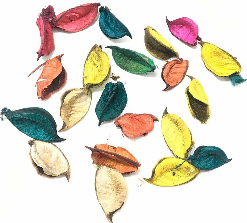Uprising Store Artificial Dried Leaves Petals For Decoration Without Fragrance, Table Decor, Pot Decoration, Colorful Decorating Leaves Vase Filler  (Artificial Wooden Leaves)