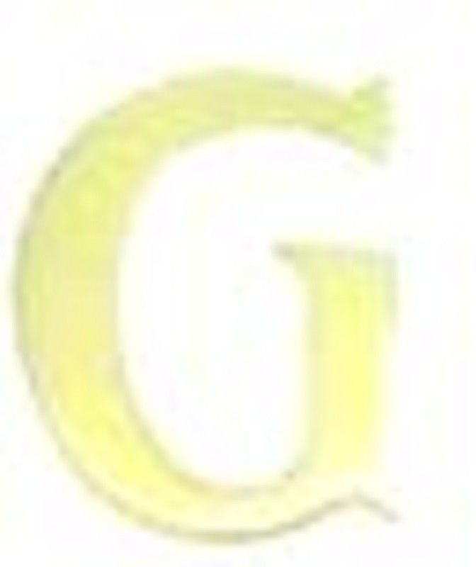 Robin Export Company Home Decor Alphabet G' Brass Letter Door House Address Sign  (1)