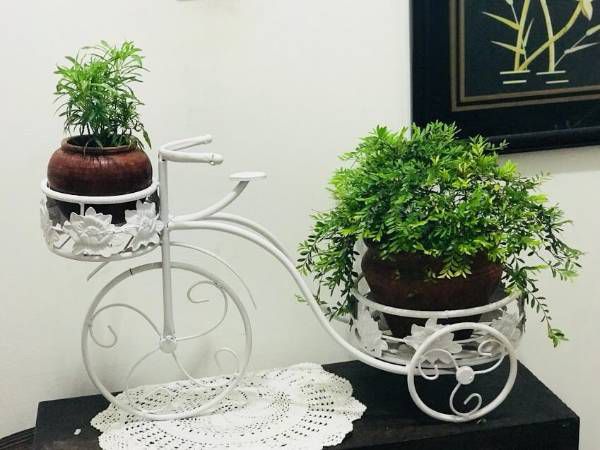 Small plant decoration cycle stand