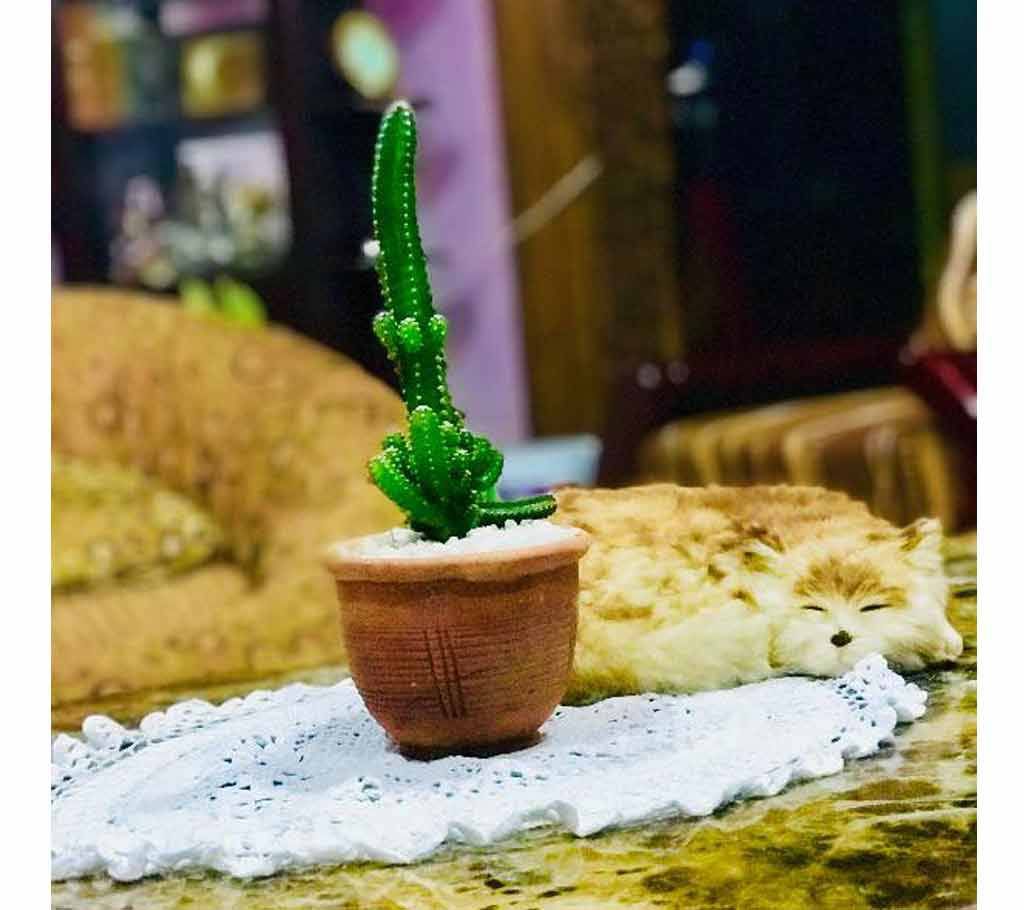 Cactus with clay top