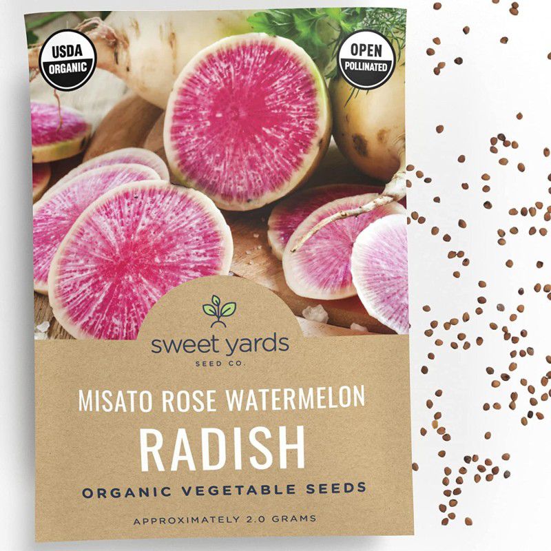 WILLVINE PAU-337 Organic Watermelon Radish Seeds ‘Misato Rose’ Seed  (500 per packet)