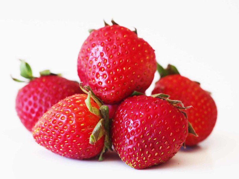 PLANTZON Strawberry Hybrid Fruit Seed  (16 per packet)