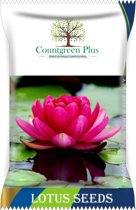 Countgreen Plus Lotus Flower Seeds Seed  (10 per packet)