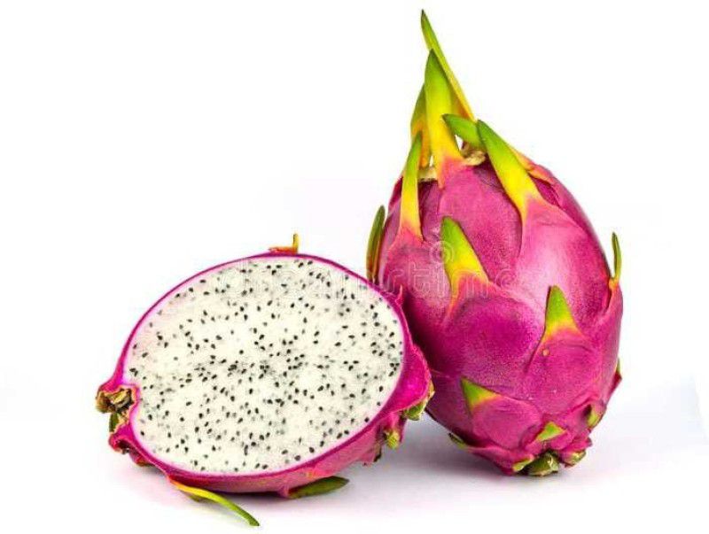 Oliver dragon fruit seed Seed  (78 per packet)