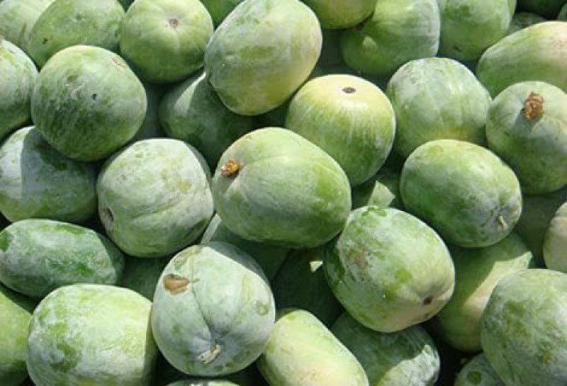 Aywal Ash Gourd (Mithai Petha) Seed  (30 per packet)