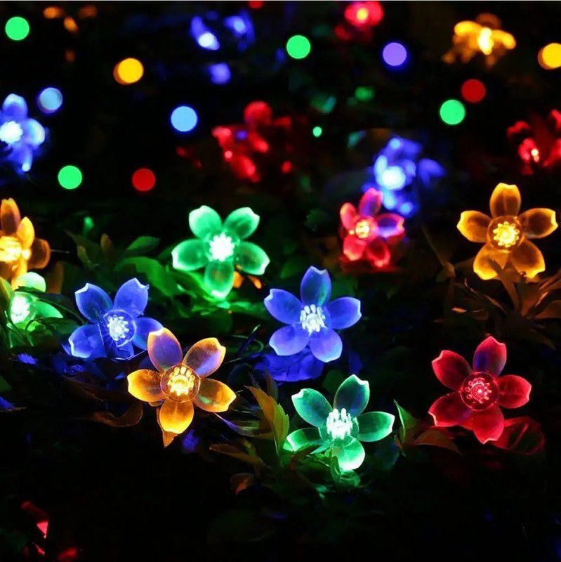 InfraHive 16 LEDs 5.49 m Multicolor Rice Lights  (Pack of 1)