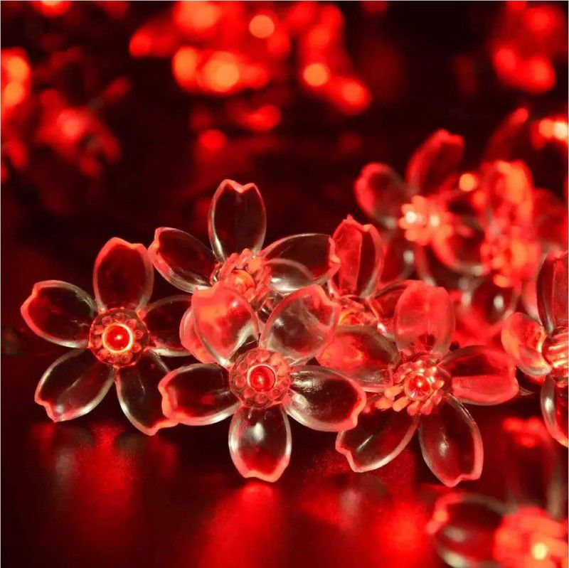 FStyler 16 LEDs 5.49 m Red Rice Lights  (Pack of 1)