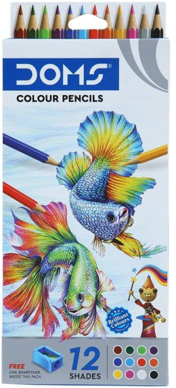 TIMMU DOMS Colour Pencil Full Size 12 Shades (Pack Of 2) Pencil  (Multicolor)