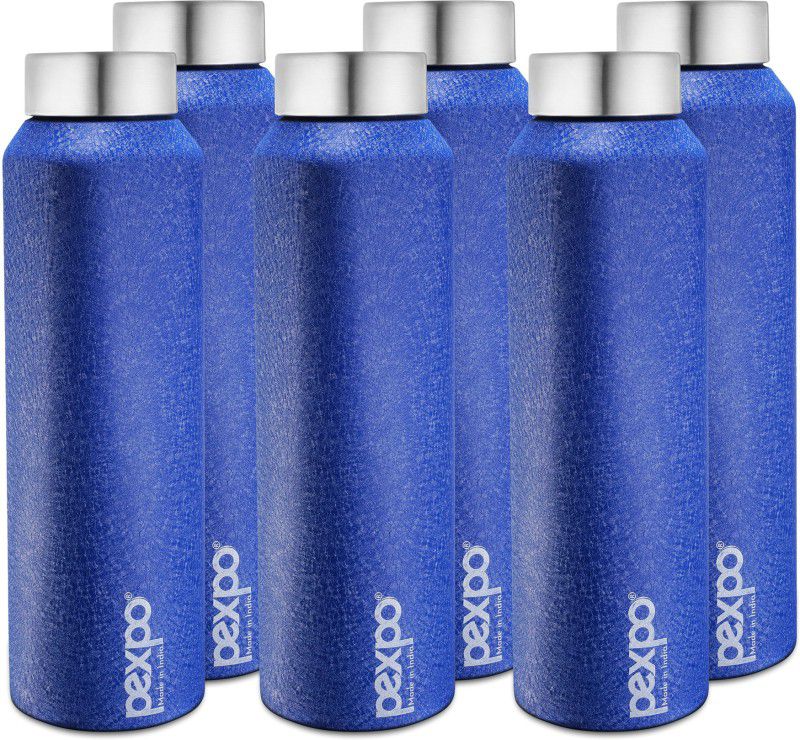 pexpo 1000 ml Fridge and Refrigerator Stainless Steel Water Bottle, Vertigo 1000 ml Bottle  (Pack of 6, Blue, Steel)