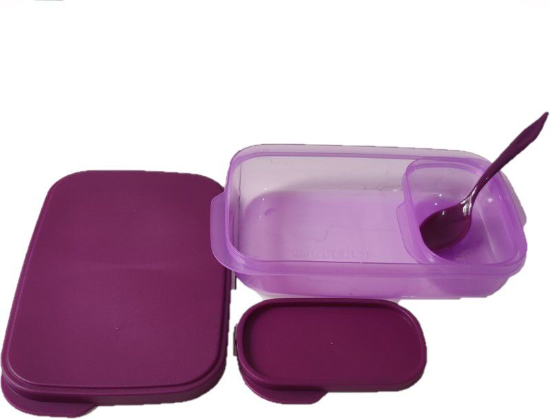 NETMAX Unbreakable Divine 2 Containers Lunch Box  (500 ml)