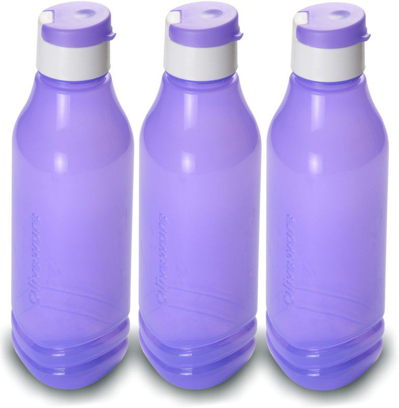 Oliveware Triangular 1000 ml Bottle  (Pack of 3, Purple, Plastic)