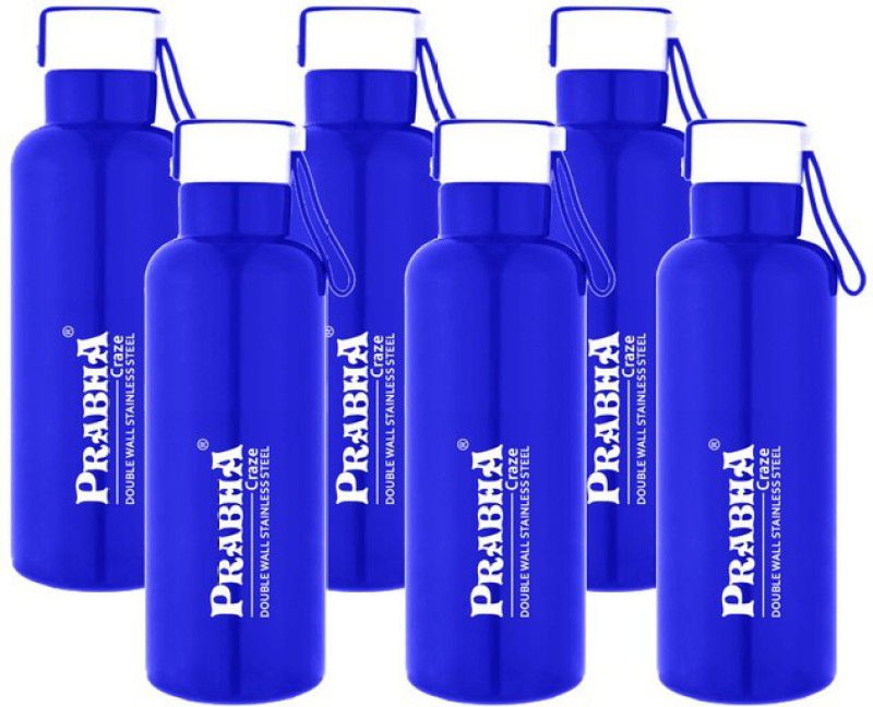 PRABHA Craze Blue Double Wall Steel Water Bottle 6 Pcs Set 450ml for Home School & Kids 450 ml Bottle  (Pack of 6, Blue, Steel)