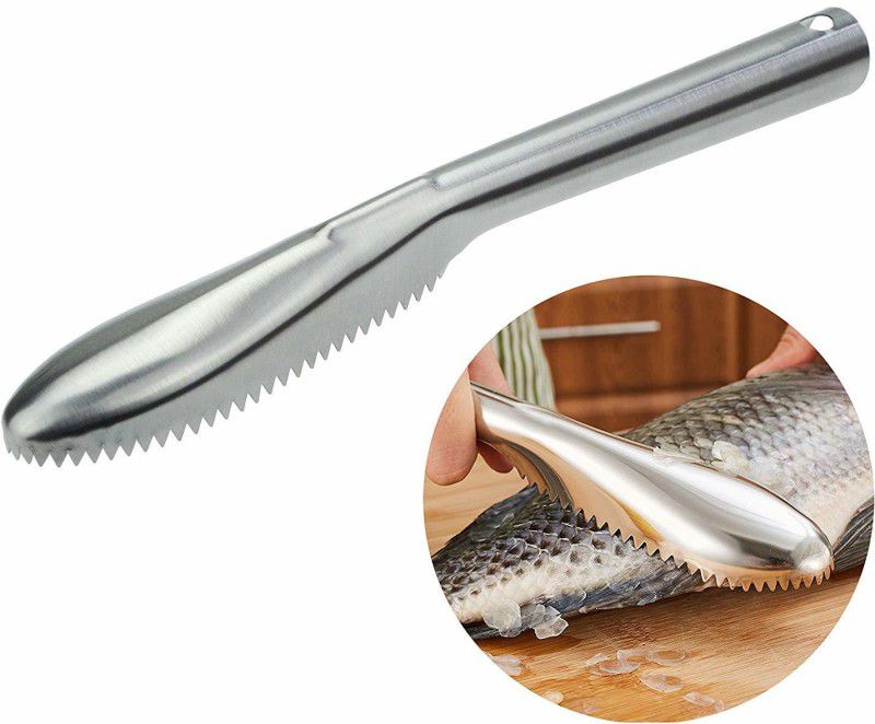 Futurekart Stainless Steel Fish Scale Remover, Silvery Fish Scaler  (Pack of 1)