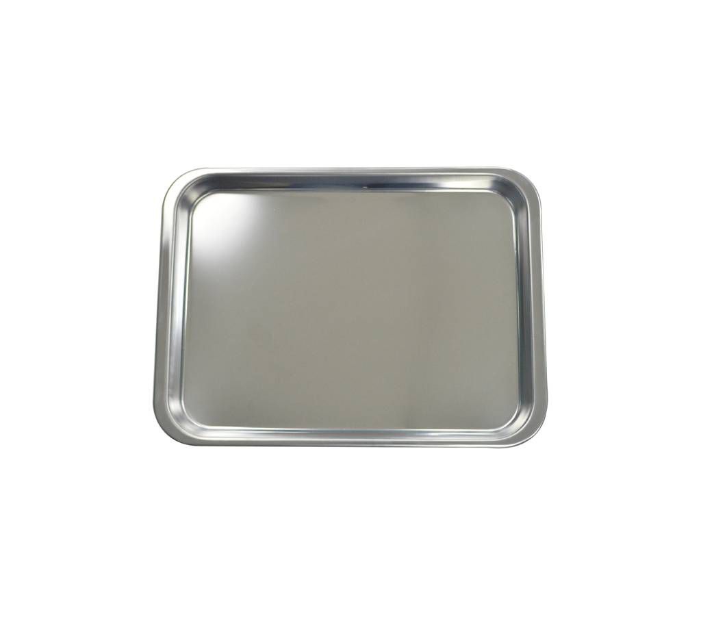 Stainless Steel Tray (10 Inch)