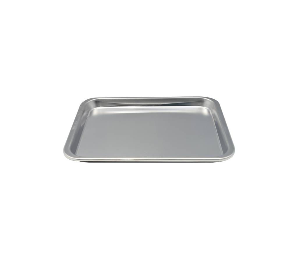 Stainless Steel Tray (10 Inch)