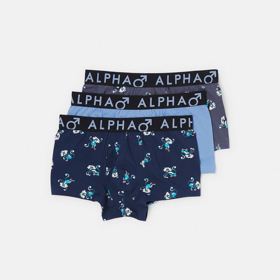 3 Pack Fly Front Print Trunks