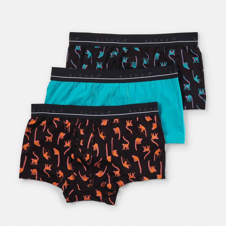 3 Pack Organic Fly Front Printed Trunks