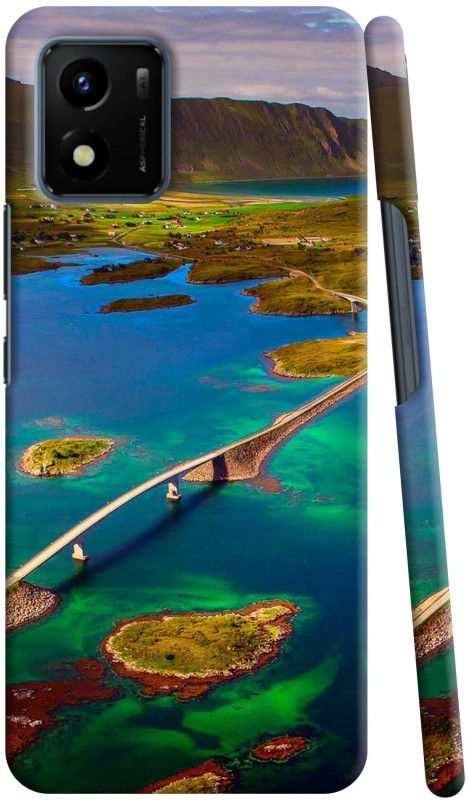 JS CREATIONS Back Cover for Vivo Y01  (Multicolor, 3D Case, Pack of: 1)