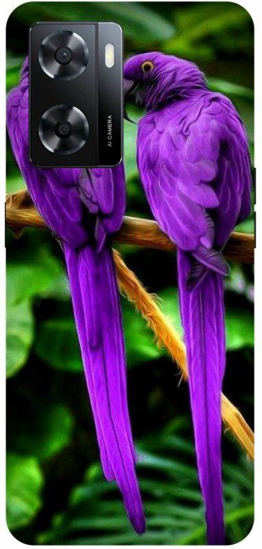 Dimora Back Cover for OPPO A57 ,PARROTS FOREST ANIMALS COUPLE  (Multicolor, Hard Case, Pack of: 1)