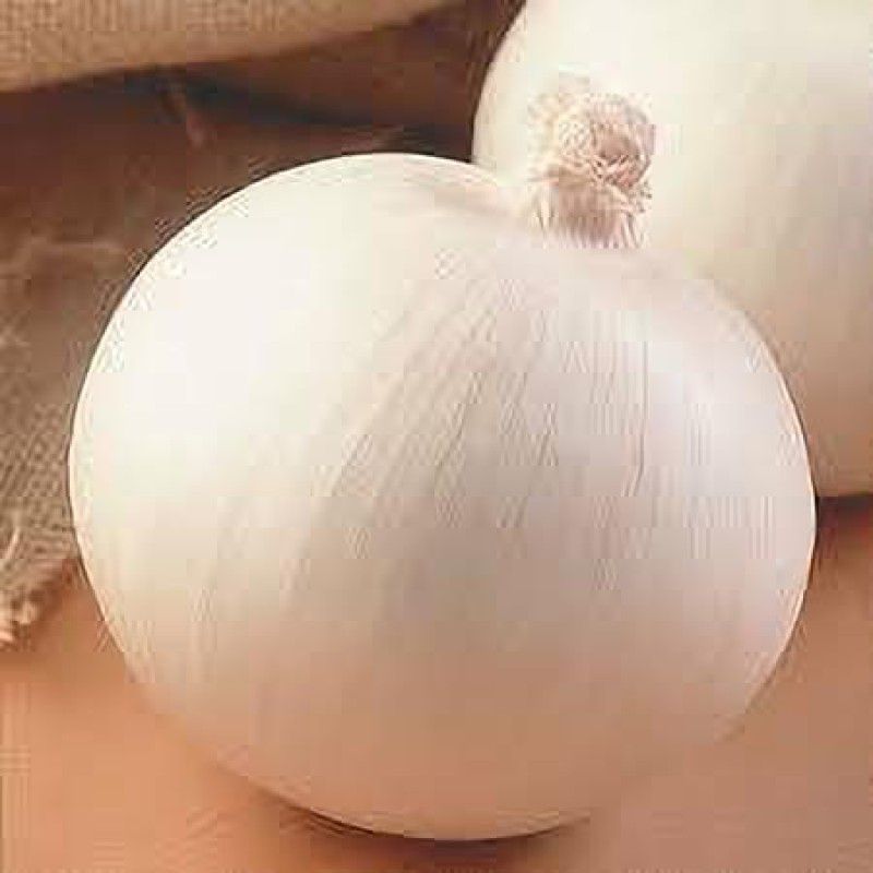 PMB Organic Onion white Seed  (32 per packet)