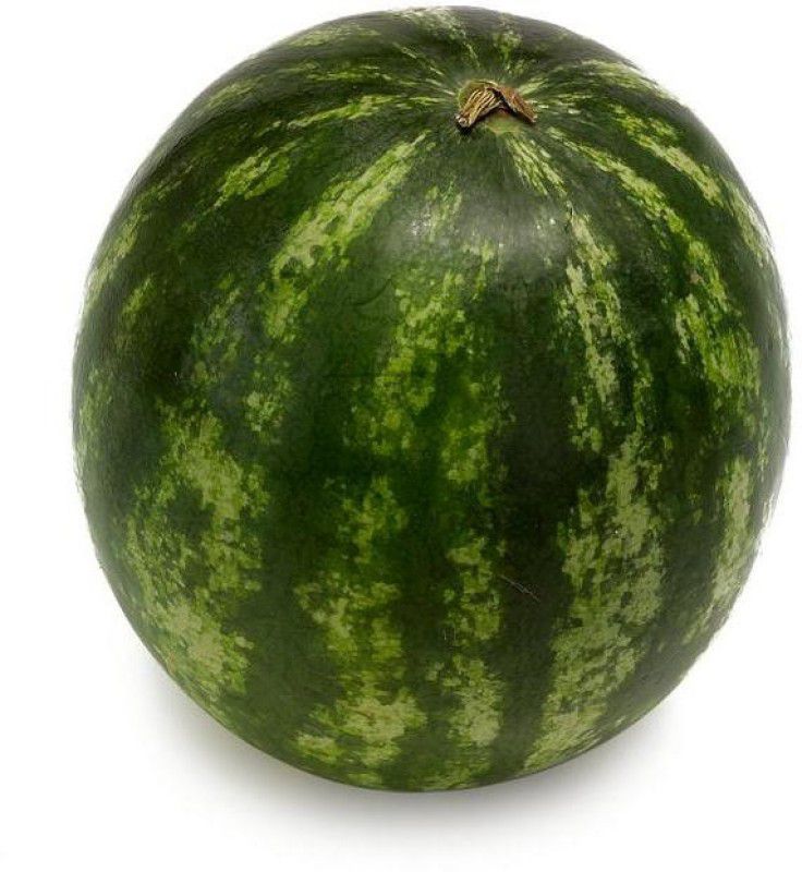 Paudha Watermelon Seed  (31 per packet)